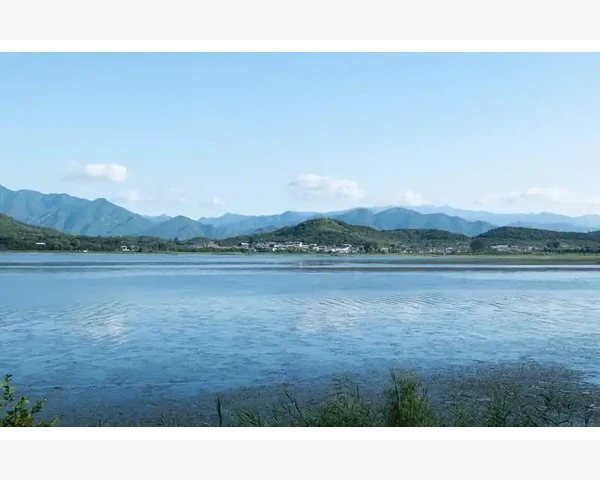 B2B电商网站选型实战核心功能对比